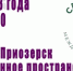 В Приозерске высадят "Сад памяти" - Приозерский район