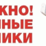 Вас попросили перевести деньги на безопасный счет? Не дайте себя обмануть – это мошенники! - Газета Приозерские ведомости