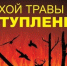 ОНДиПР Приозерского района информирует - Приозерский район